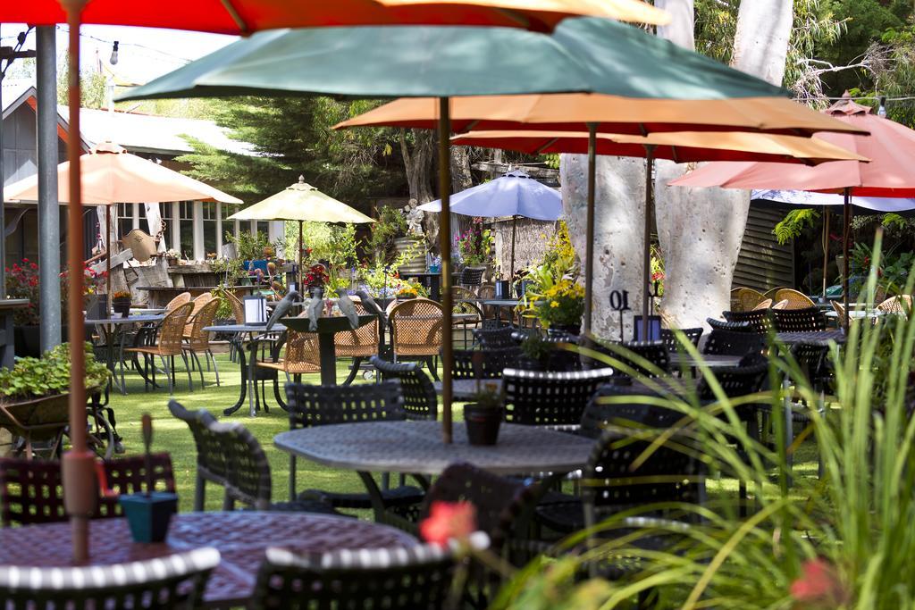 Oakdene Vineyards Guesthouse Wallington Dış mekan fotoğraf