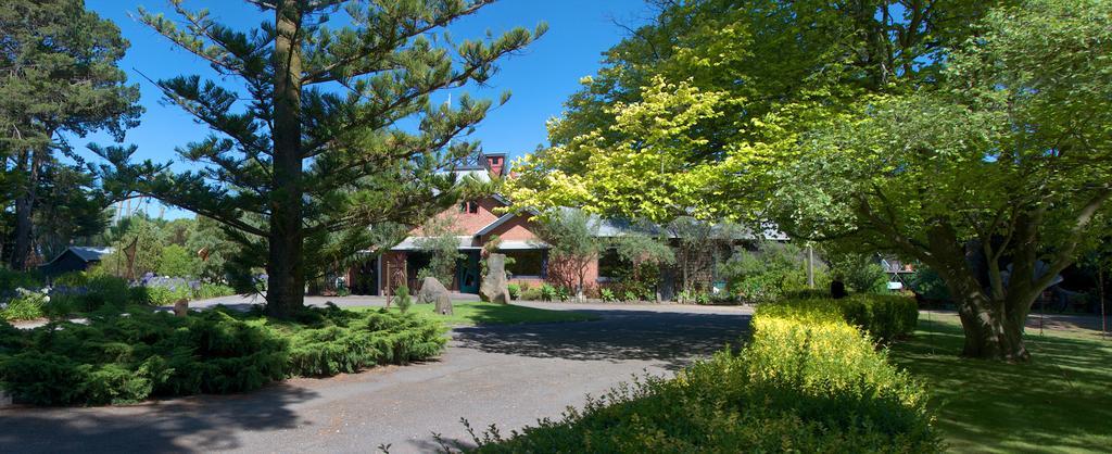 Oakdene Vineyards Guesthouse Wallington Dış mekan fotoğraf